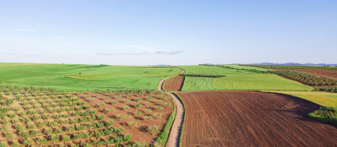 An aerial view of vast farmland with a country road on the middle